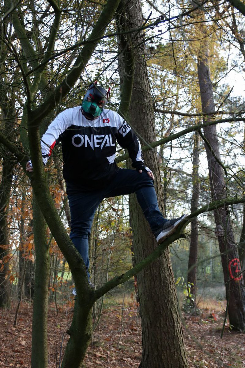 pupp_arlo (@pupp_arlo) on Twitter photo 