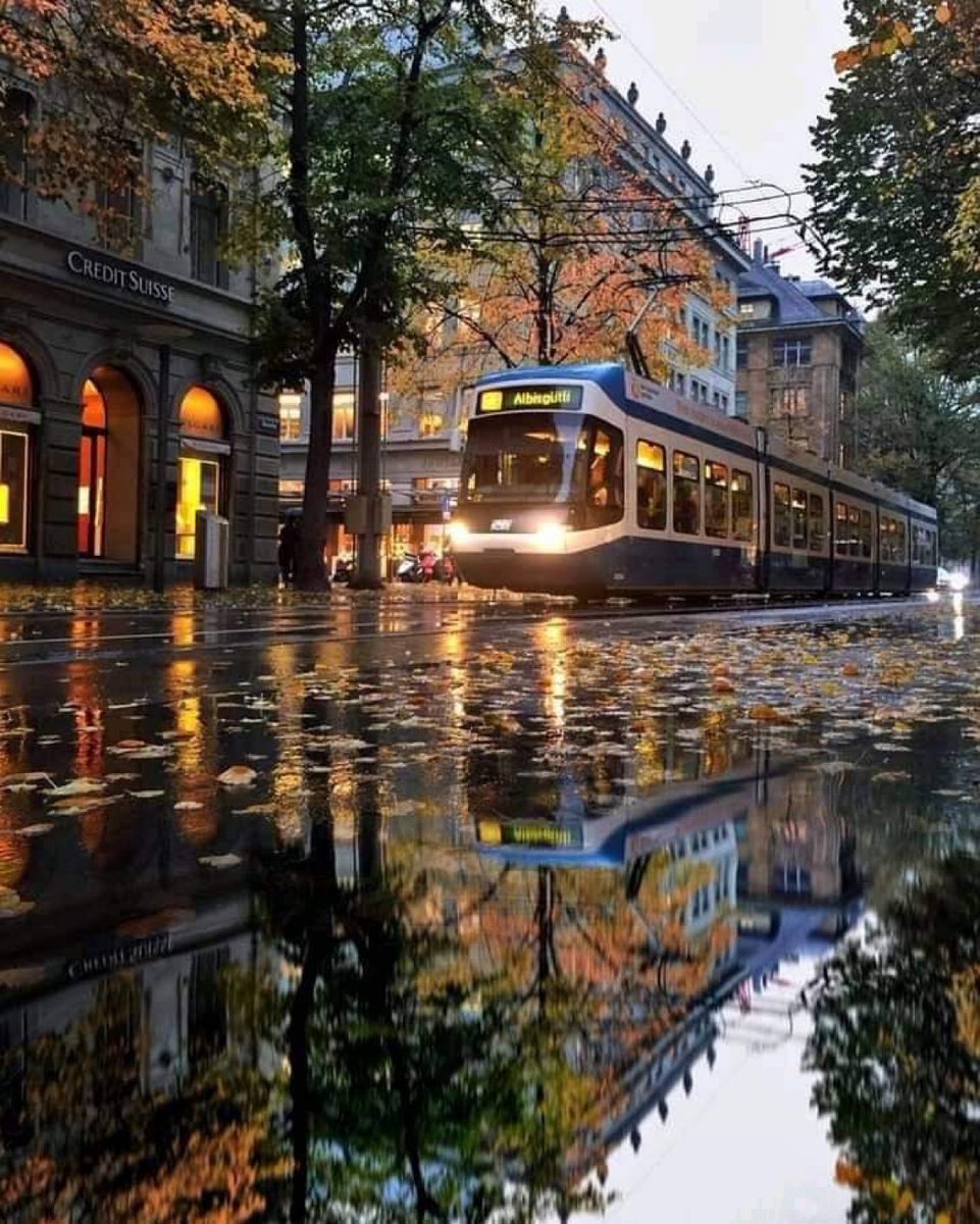 _dmoser's tweet photo. Build Trams https://t.co/cn8TCOgtka