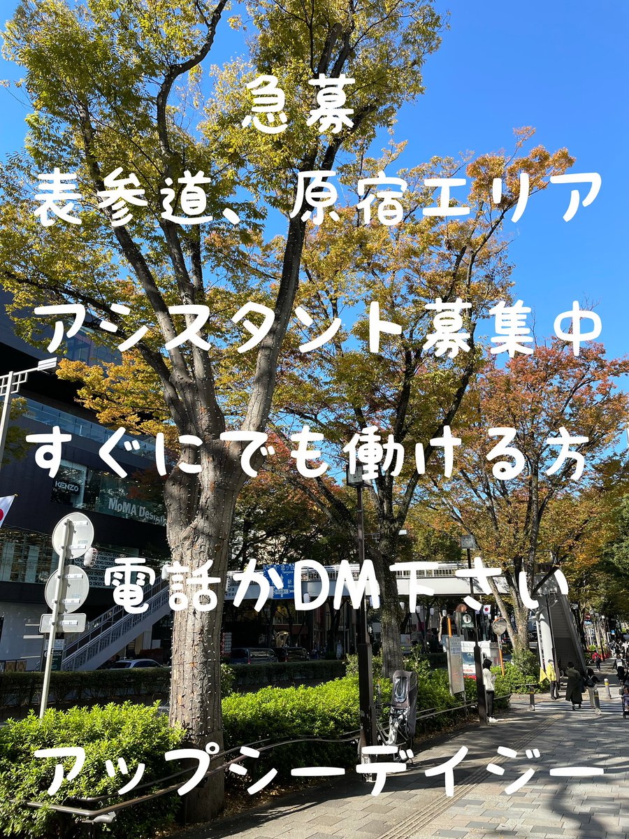 アップシーデイジーけん Upsydaisyken Twitter