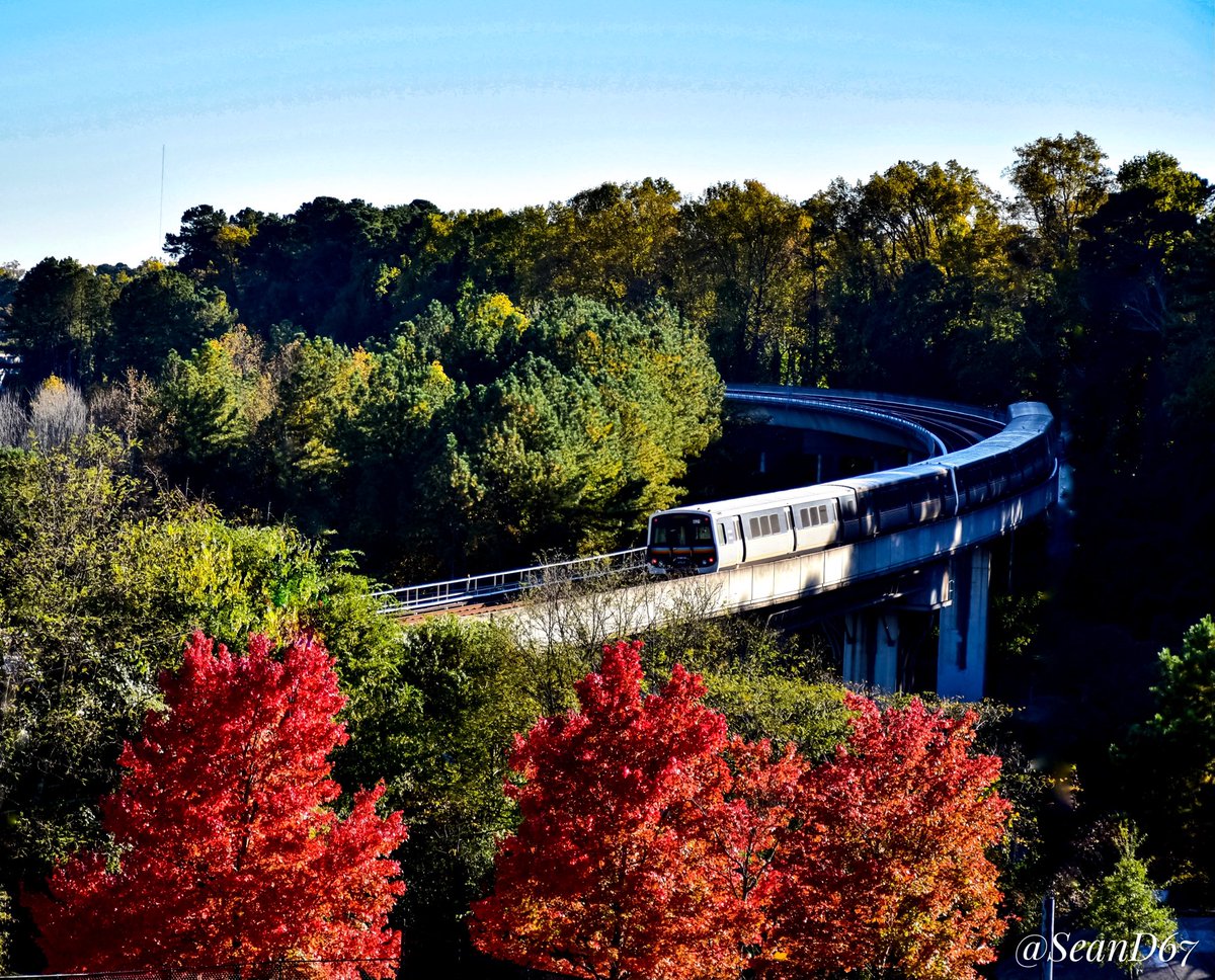 seand6711's tweet photo. A Bonus Perspective! MARTA train zooming through the Trees!! 📸🍁🚇🌳🌤 @buckheadatl @seand6711 #photography #atlanta #martatrain #trees #landscape #marta #foliage #nature #nikon #train #buckhead #autumn #fall #photography #leaves #perspective #streetphotography #atlphotography https://t.co/aCwaEISBsZ