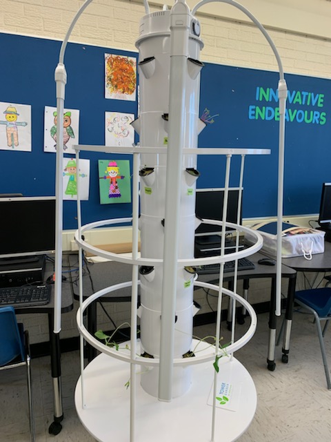 ESS-inclusion tweet media