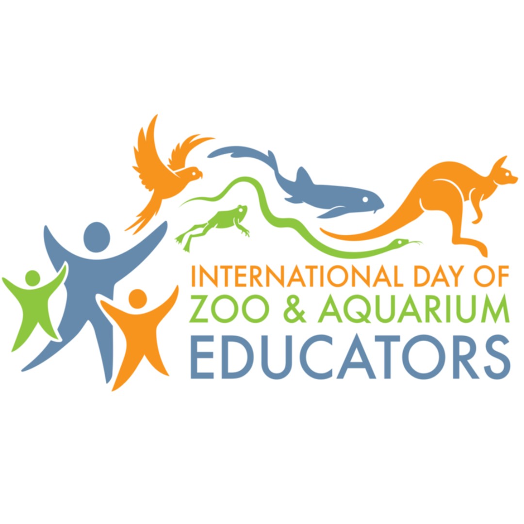 EducatorsIz's tweet photo. November 11th, 2021 is IZE day!!!
Let's join the celebration.

Please see the details here: https://t.co/CSns2srgnl

#ize 
#zooaquariumeducators 
#izeducators 
#izeday 
#izeday2021 https://t.co/rFkVDuXfS1