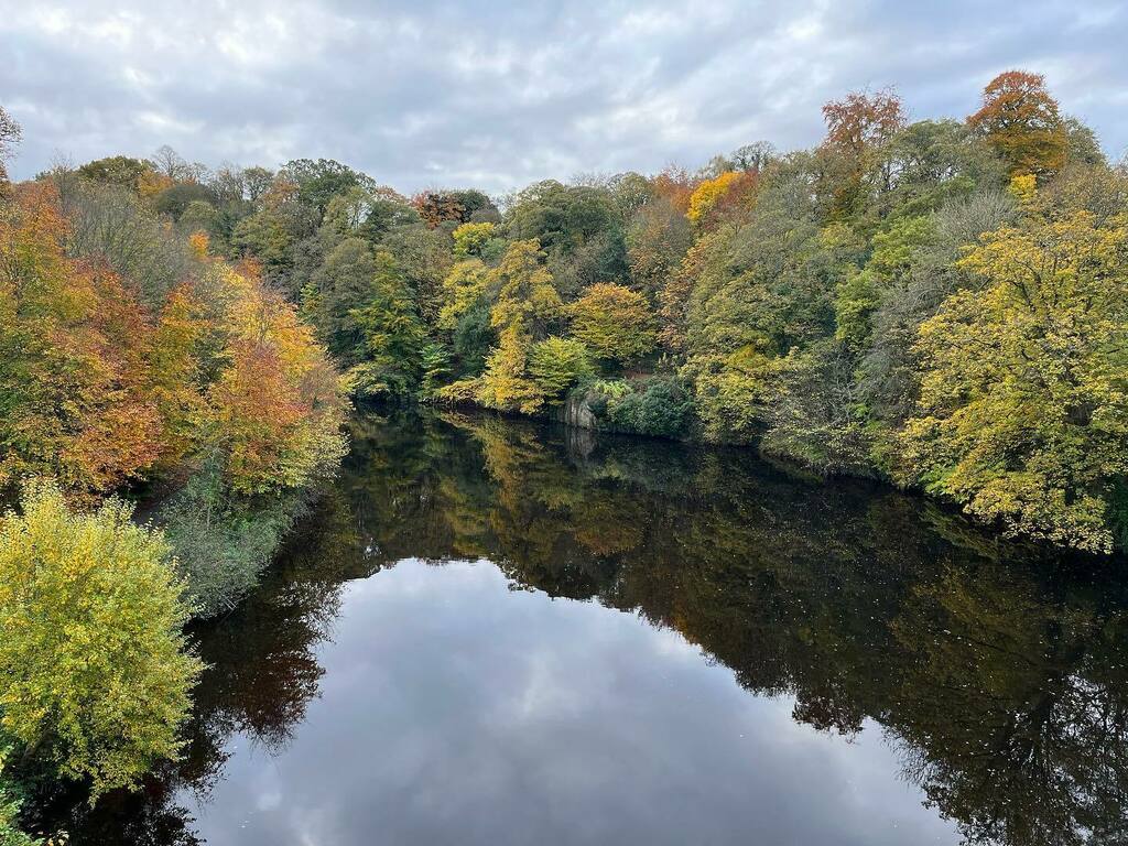 duracell_rachel's tweet photo. Autumnal 🍂 colours on a mild November day overlooking a calm river Wear from Prebends Bridge
.
#autumn #leaves #november #riverwear #durham #prebendsbridge #autumnwalks https://t.co/z7zvMIK9ge https://t.co/qdZ0Lohm22