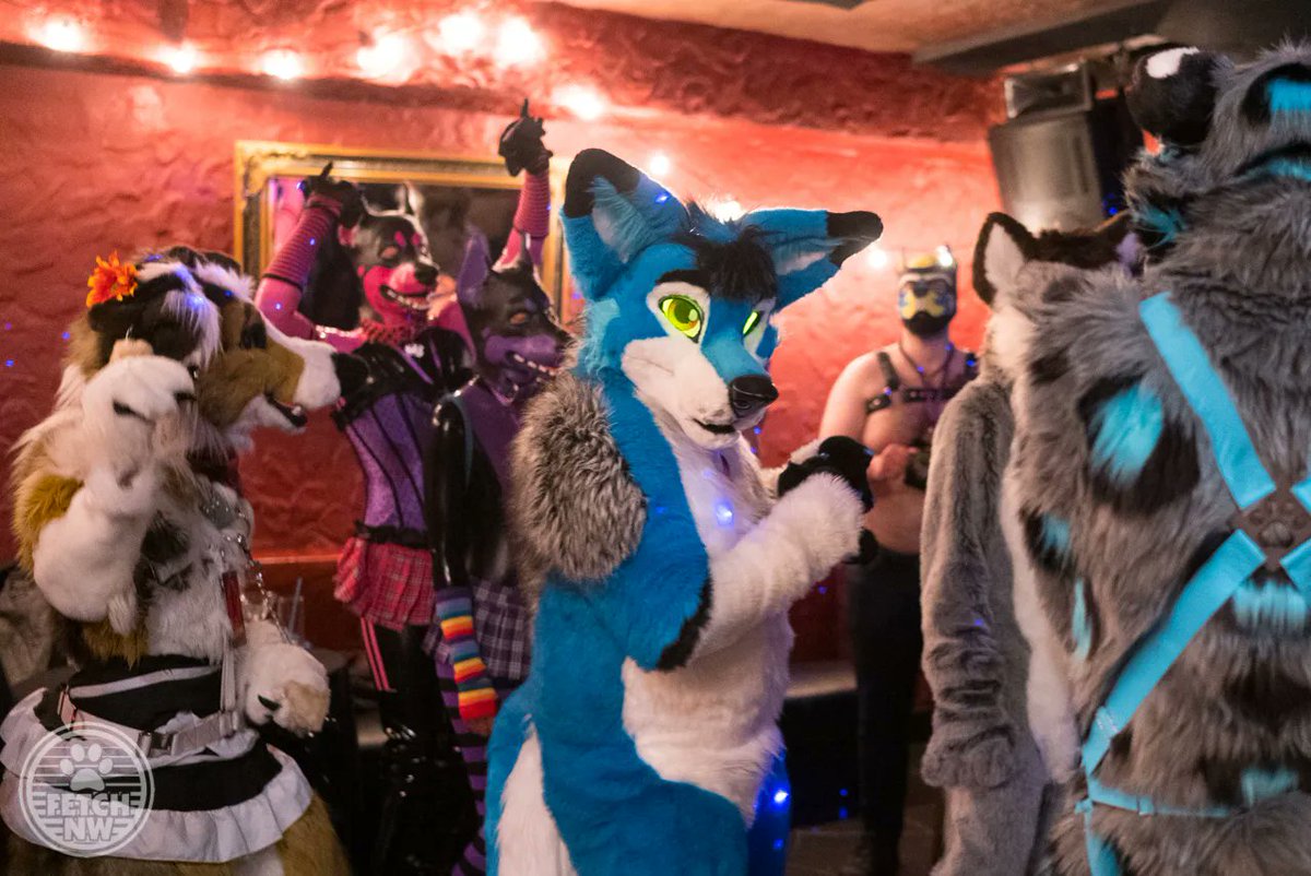 More #FetchNW Party Critters(tm)