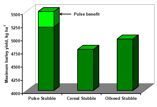 <a href="/rossmckenzieAG/">Ross McKenzie</a> Here are the results from a 3-year rotation with peas, wheat and canola in the first year and wheat in the second and barley in the 3rd on all three. The "pulse benefit" was 3.5 bu/ac of wheat and 4.5 bu/ac barley
