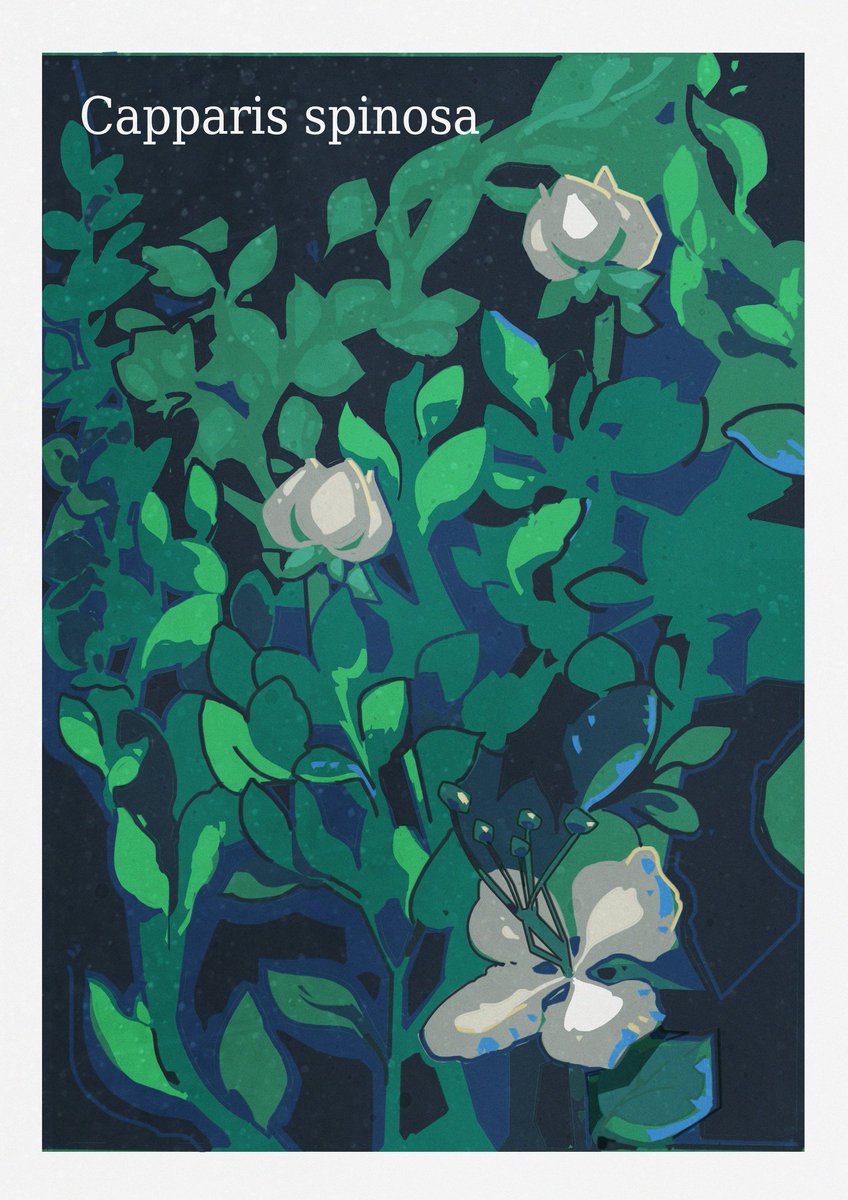 so_creatures's tweet photo. ☘️🌿🌱🍀🍃🎋

#painting #botanical https://t.co/CHuToSyqmz
