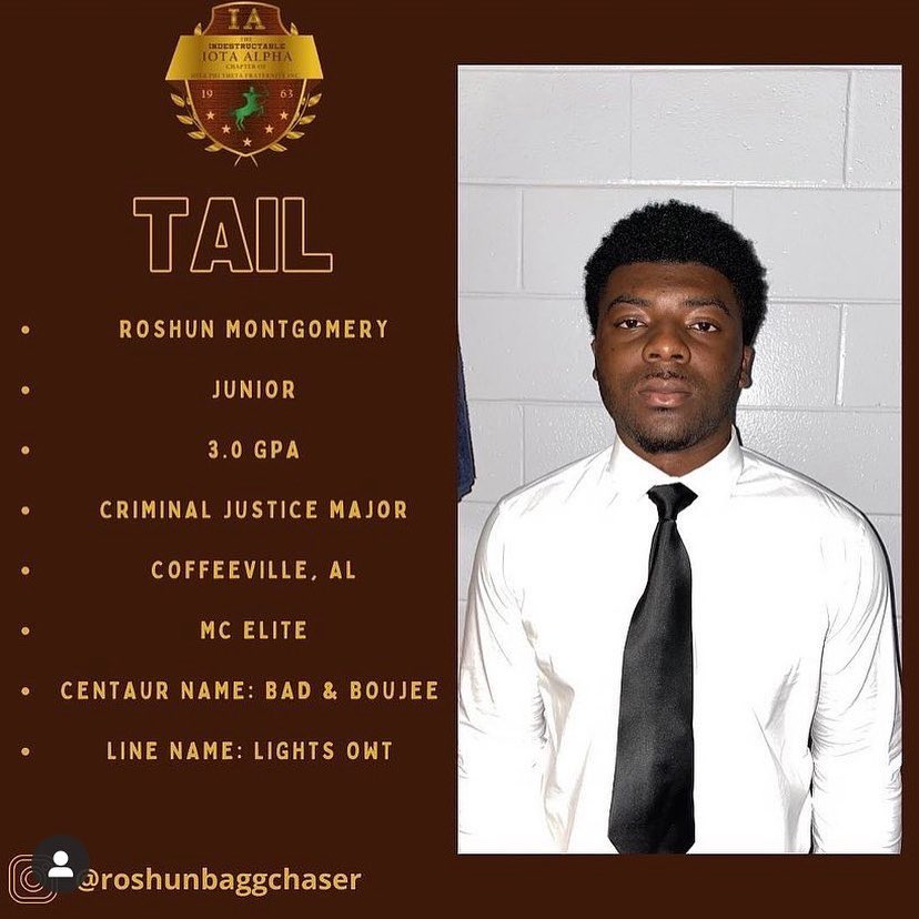Iota Phi Theta Undergrads tweet media