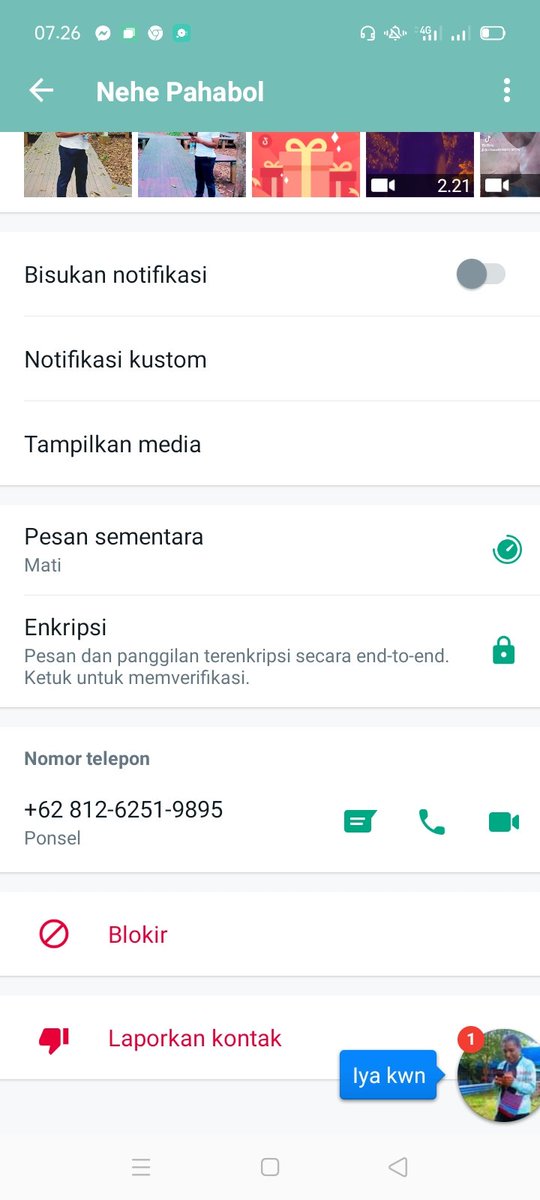 Juli Pace gunung tweet media