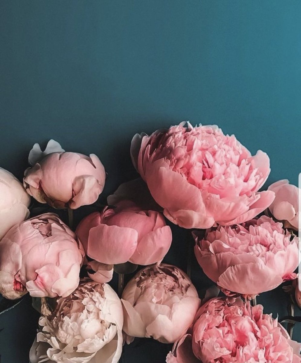 lina (@linaaawinter) on Twitter photo 