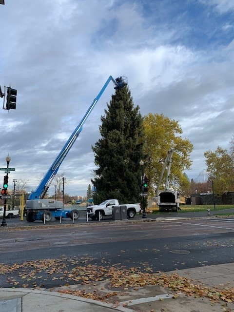 SenskeServices's tweet photo. Our Spokane team was busy last week installing this beautiful light display in Spokane's Riverfront Park. 🎄The tree has over 2,300 lights and took 11 hours to install. #senskeservices
https://t.co/GZOCLu77GO https://t.co/jp7SmzlGG7