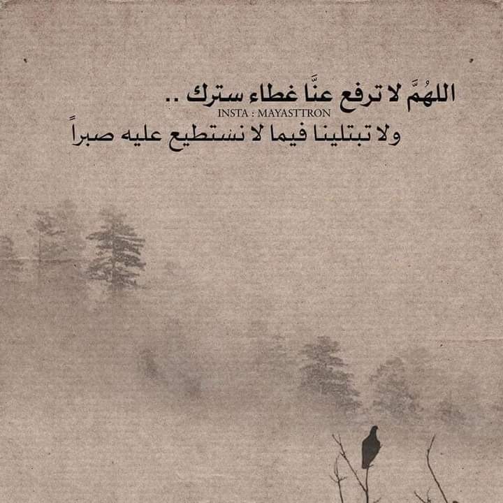 HayahShahid's tweet photo. اللهم آمين يارب العالمين 💙 https://t.co/G9gA1eErwA