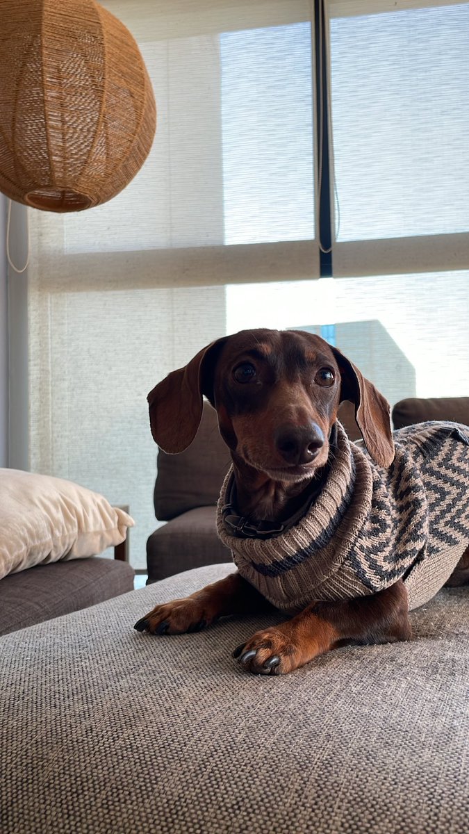 everthd's tweet image. Aprovechando la heladez, cortesía de @palomauc98 🥰🤣🥲