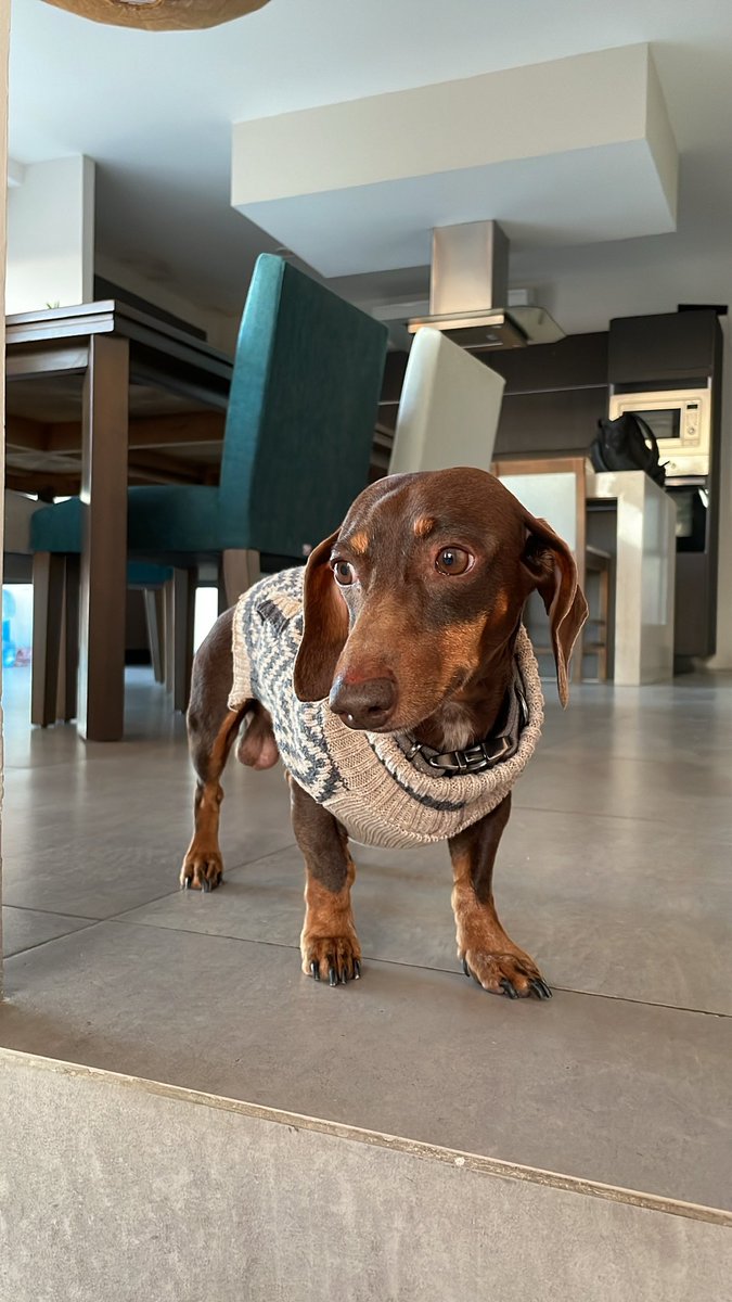 everthd's tweet image. Aprovechando la heladez, cortesía de @palomauc98 🥰🤣🥲