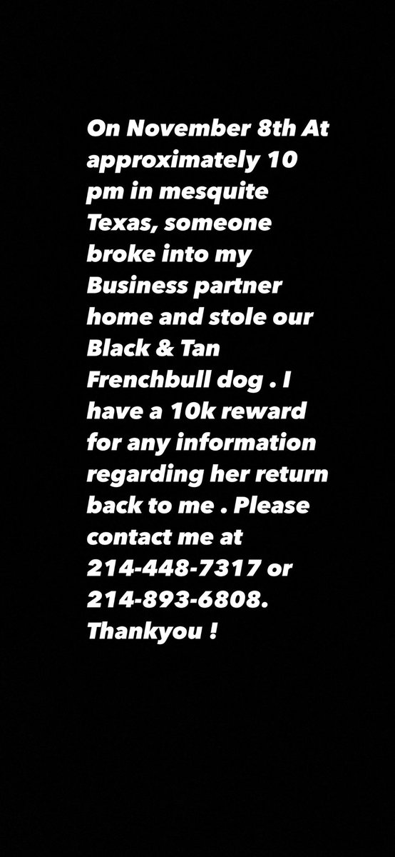 JFulch_DaTruth's tweet photo. Retweet 10K reward if you know anything about my dog Fendi Dallas,TX https://t.co/1fJUs3Or81