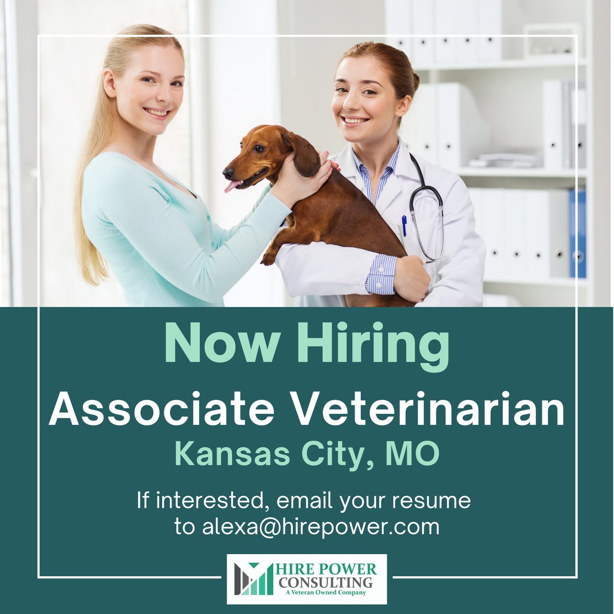 TeamHirePower's tweet photo. Your next #veterinarian job is just a few clicks away!  Apply today and enjoy a candidate experience you’ll only find with Hire Power Consulting…  View our other jobs at https://t.co/uVa889Q99K.  

#hirepower #hirepowerjobs #vetmed #veterinaryjobs https://t.co/ieVHLrxBEv