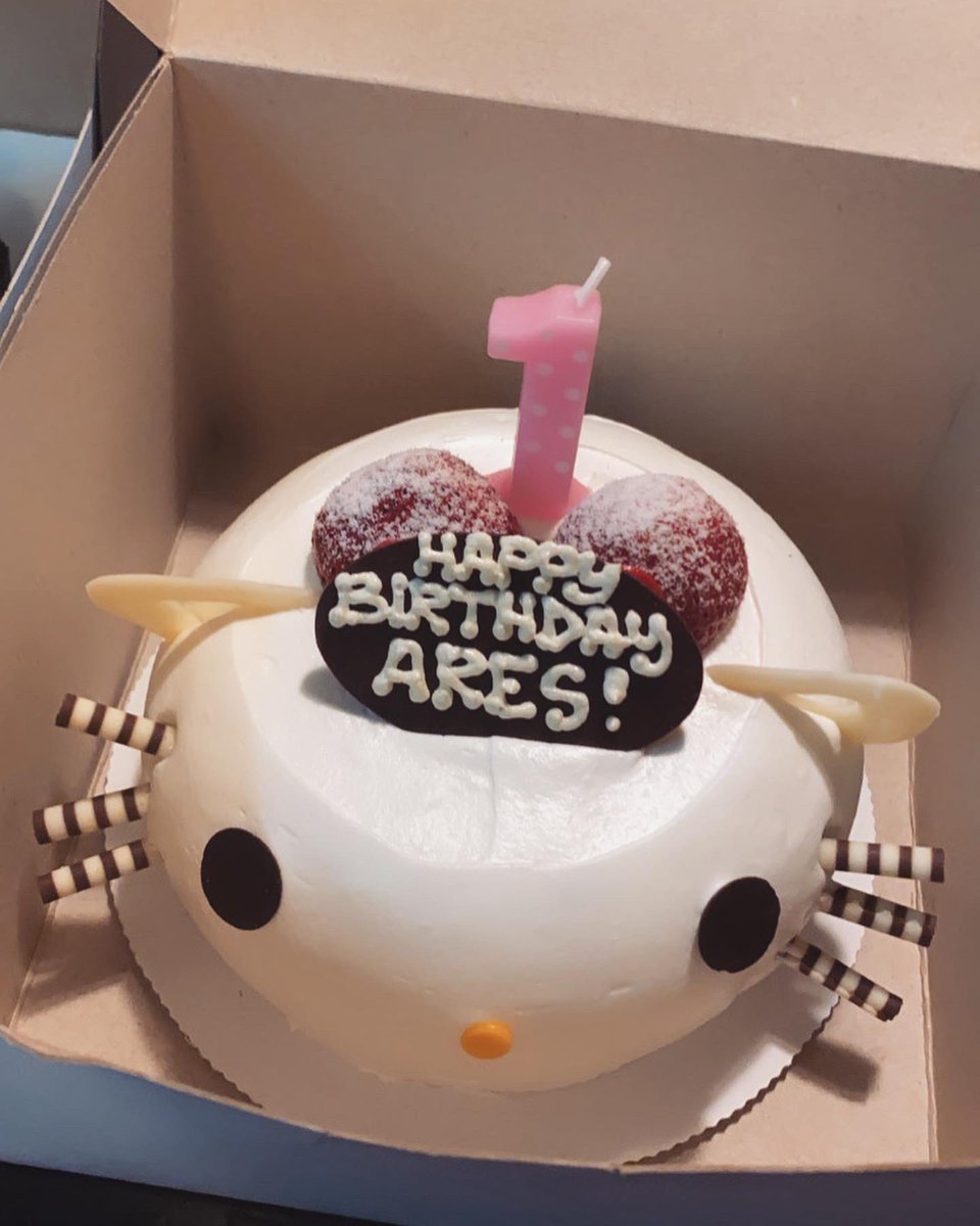 aahitsamberrr's tweet photo. Can’t believe my baby is one 🥺❤️ https://t.co/GH06lAPhrO