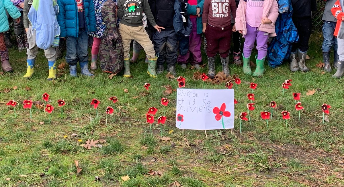 Petits Griffons tweet media