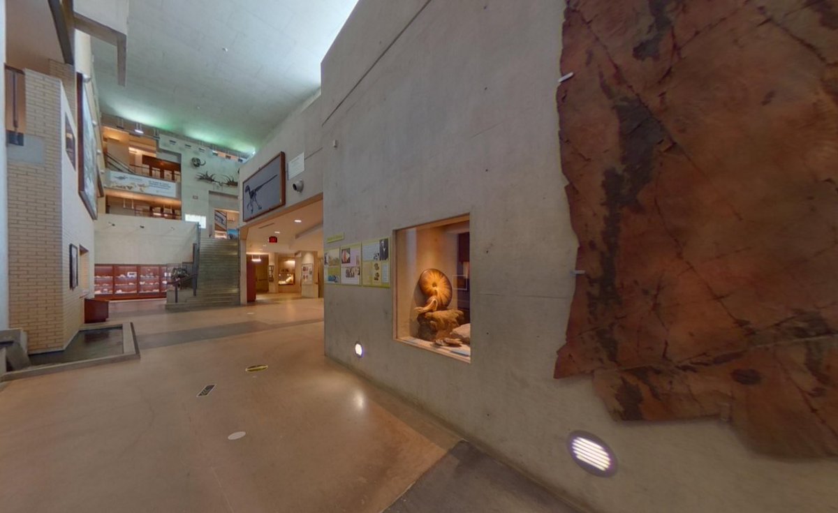 Happy National Science Centre &amp; Museum Day! We are thrilled to continue educating people of all ages and backgrounds in earth sciences, whether at the Museum or virtually! 

Explore the Earth Sciences Museum with our virtual tour today! bit.ly/3vPxkhN