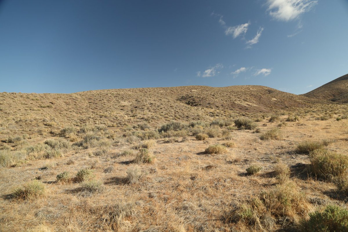 DaveDTC's tweet photo. A4 When I was driving west across the country last year from #Detroit I crossed through Nevada. I pulled off of the great 80 freeway somewhere near Battle Mountain and drove into the desert hills and camped. #noOneAround ! #iExploreChat @TravelNevada @TravelMindset https://t.co/Fijs2xgaPE