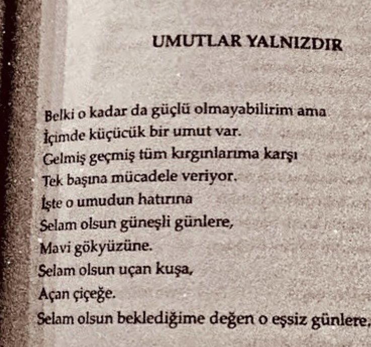 Mertcan Durak (@mrtcndurak) on Twitter photo 