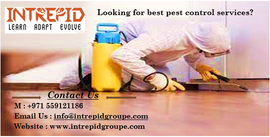 Intrepidgroupe's tweet photo. Intrepid aims to offer unprecedented after sale &amp; service experience to our customers in areas including but not limited to public health pest control services, building &amp; tank cleaning services and MEP services. 
Visit : https://t.co/iSMfB5ke5b
#pestcontrol #pestcontrolservice https://t.co/DeSkIzCA5Z