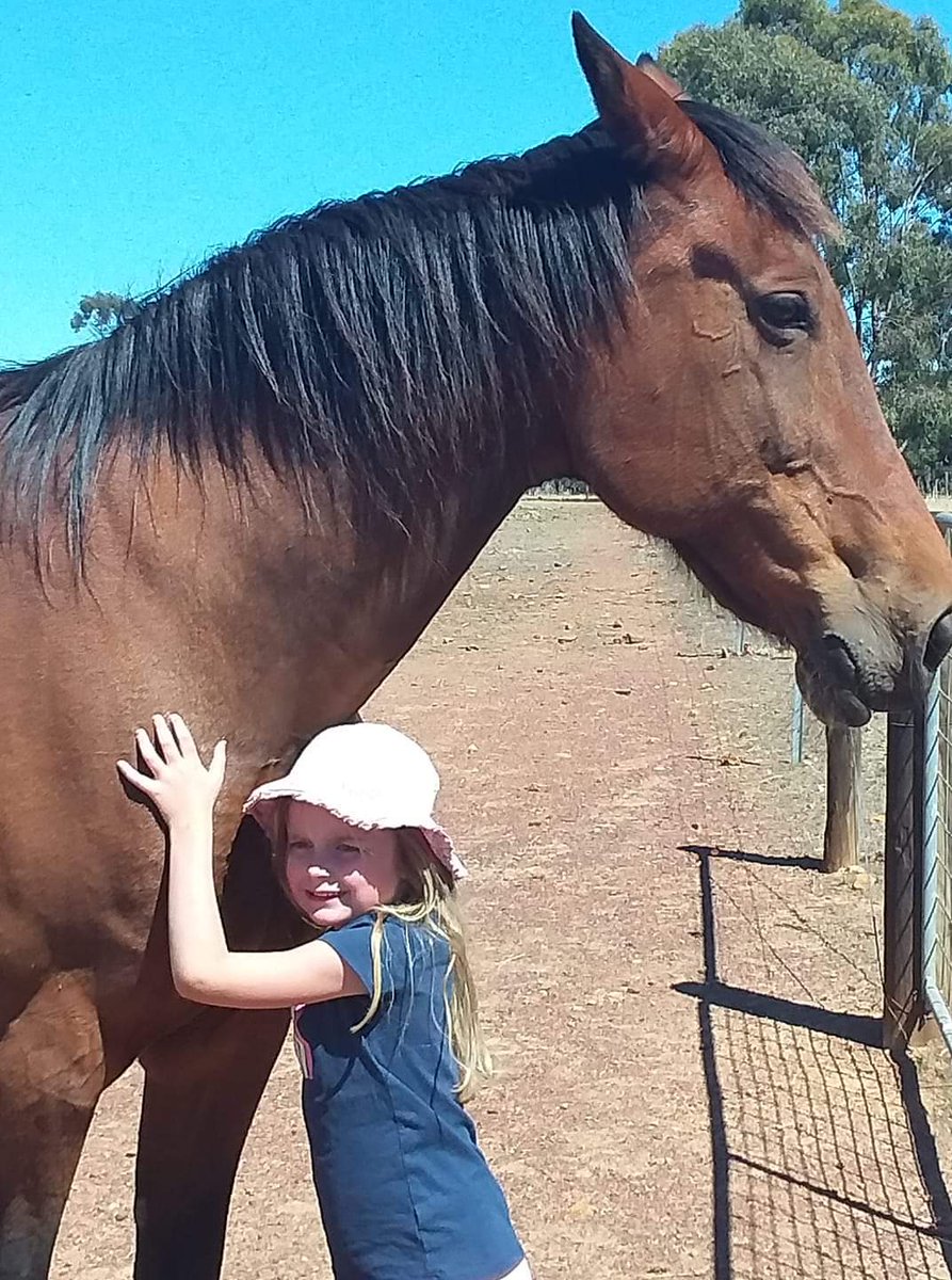FarmMcswain's tweet photo. No joy for our #ManburleyGraduates in the past week so we look forward to upcoming engagements
Thursday night - @KilmoreRC
Tex Goes Bang - R1 No.9 #GoTex
Friday - @Shepphrc
Rockford Peach - R9 No.11 #GoPeaches
Repelling - R10 No.11 #GoBuzz https://t.co/eBLyJSlnPZ