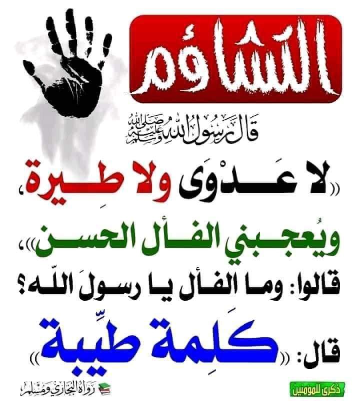 Ywob1iqLuQ586zR's tweet photo. https://t.co/4FRgQv1e4w