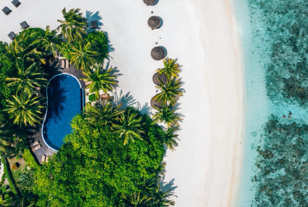 MAX_maldives's tweet image. -25% LS Discount off 2022 rates

maxmaldives.com/hotels/adaaran…

#Adaaran #Vadoo #Adaaran_Prestige #Adaaran_Vadoo #Adaaran_Prestige_Vadoo #Adaaran_Vadoo_Resort #Adaaran_Maldives #Adaaran_Prestige_Vadoo_Maldives

maxmaldives.com @MAX_maldives  #MAXMaldives info@MaxMaldives.com
