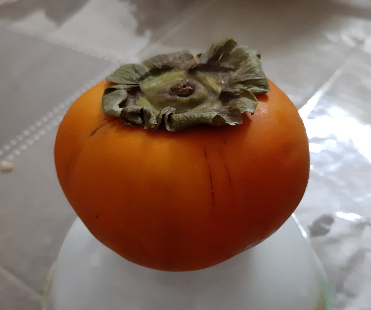AbidZaidi1's tweet photo. Ramphal...bas Ramphal...
(Persimmon) ๐
#BreakfastDone https://t.co/N2VLRO3Bsq