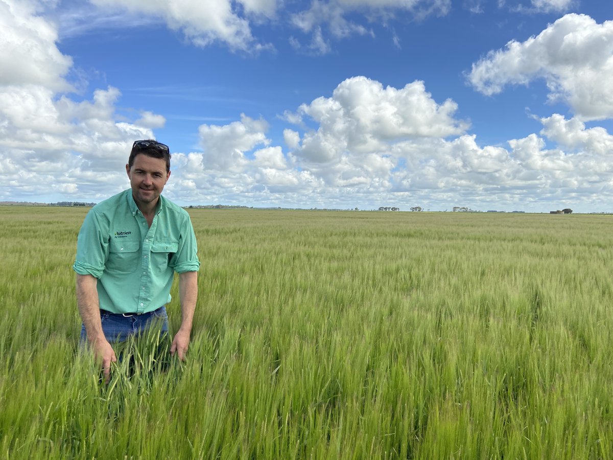 BASF Agricultural Solutions Australia tweet media