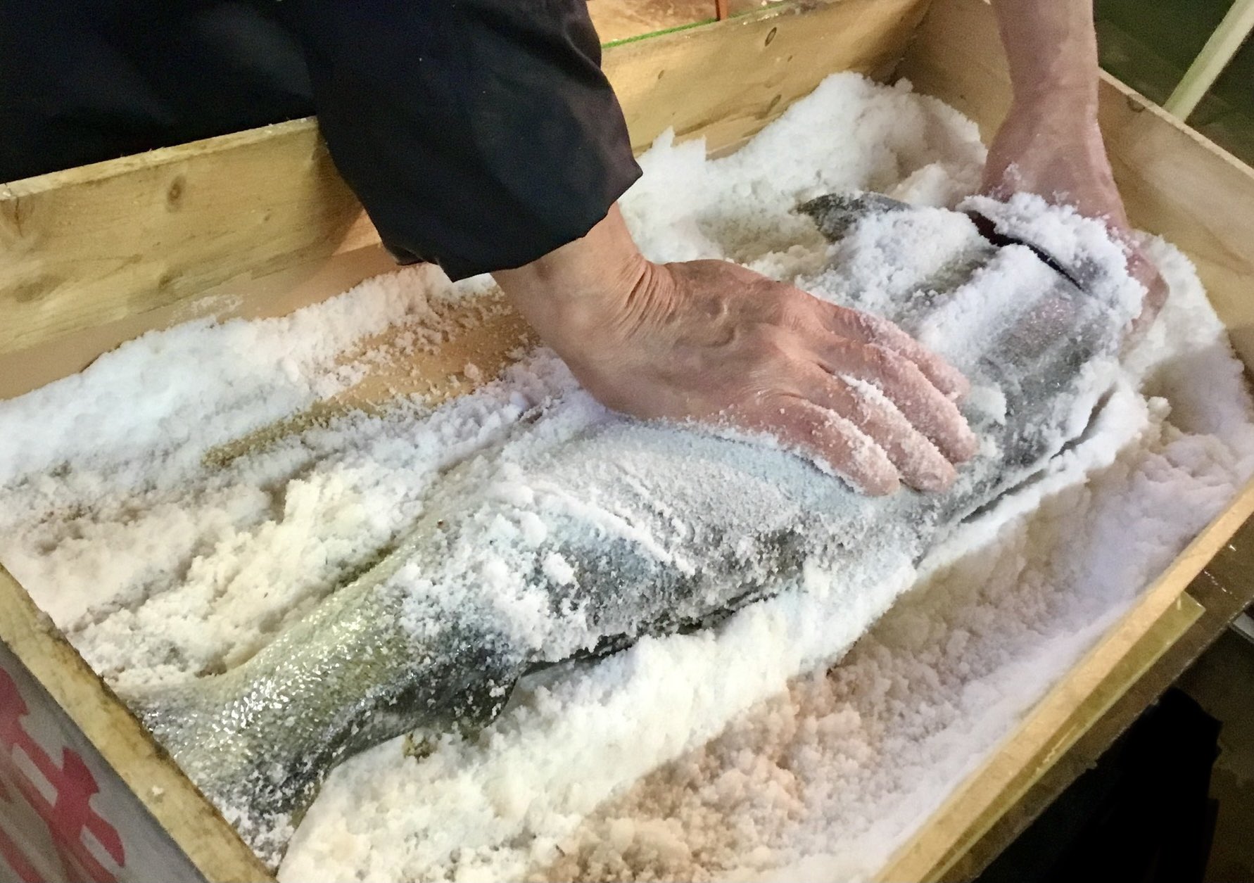 新発田仕出し料理 魚安 塩引鮭作り 生鮭入荷しました 丁寧に塩漬け中です 魚安 新潟県新発田市御幸町1 2 7 0254 22 33 Uoyasu2233 Gmail Com 鮭 塩引鮭 塩引き鮭 ご飯のお供 お歳暮 新潟名物 新発田グルメ