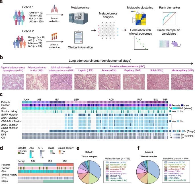 Zeping Hu Lab tweet media