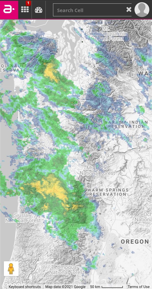 pnelson917's tweet photo. Day 10 of the #30DayMapChallenge: The PNW during the grey season always makes @NOAA doppler data rasters visible. #IMNOS https://t.co/dJIPpunjGk