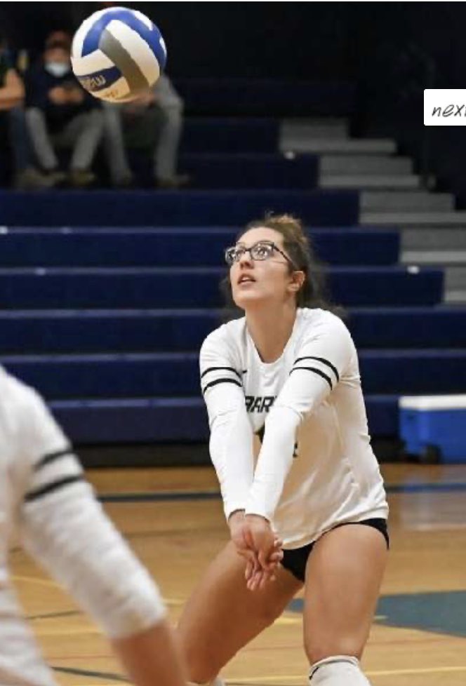 Williamson Warriors Volleyball tweet media