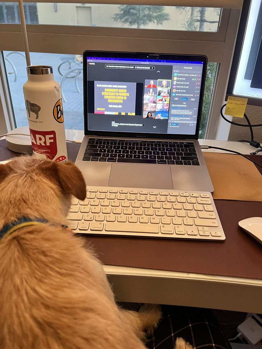 clperez_1's tweet photo. #mdpha2021 has been great so far! Even my dog is excited to learn about the status of public health in Maryland, shots at the shops by @umdhealthequity, community-based strategies to promote pediatric COVID-19 vaccination, and so much more! Proud to be part of such a great org! https://t.co/Snvh732sk8