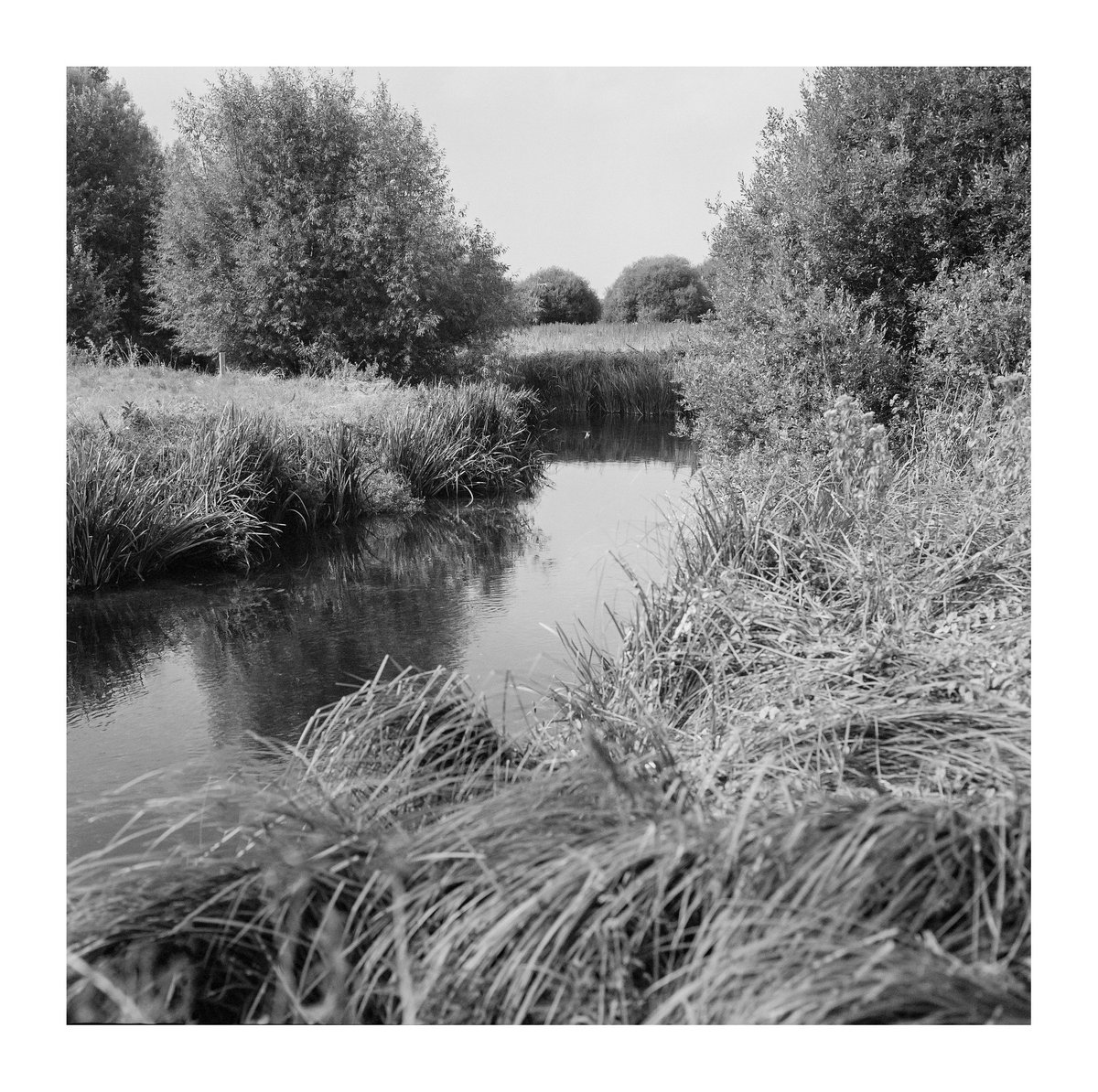 focalthingy's tweet photo. 365+ The honesty of film
No bells, no whistles and time to remember
#365positive #TheHiddenRiver #photographyprojects https://t.co/yxbYfurlue