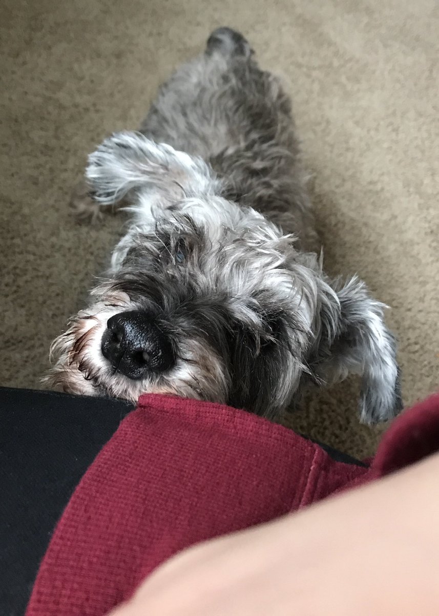 Bekah 🦈 tweet media