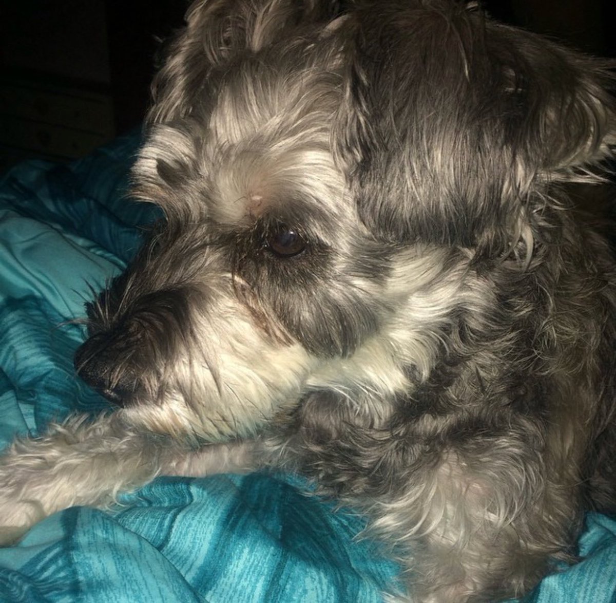 Bekah 🦈 tweet media