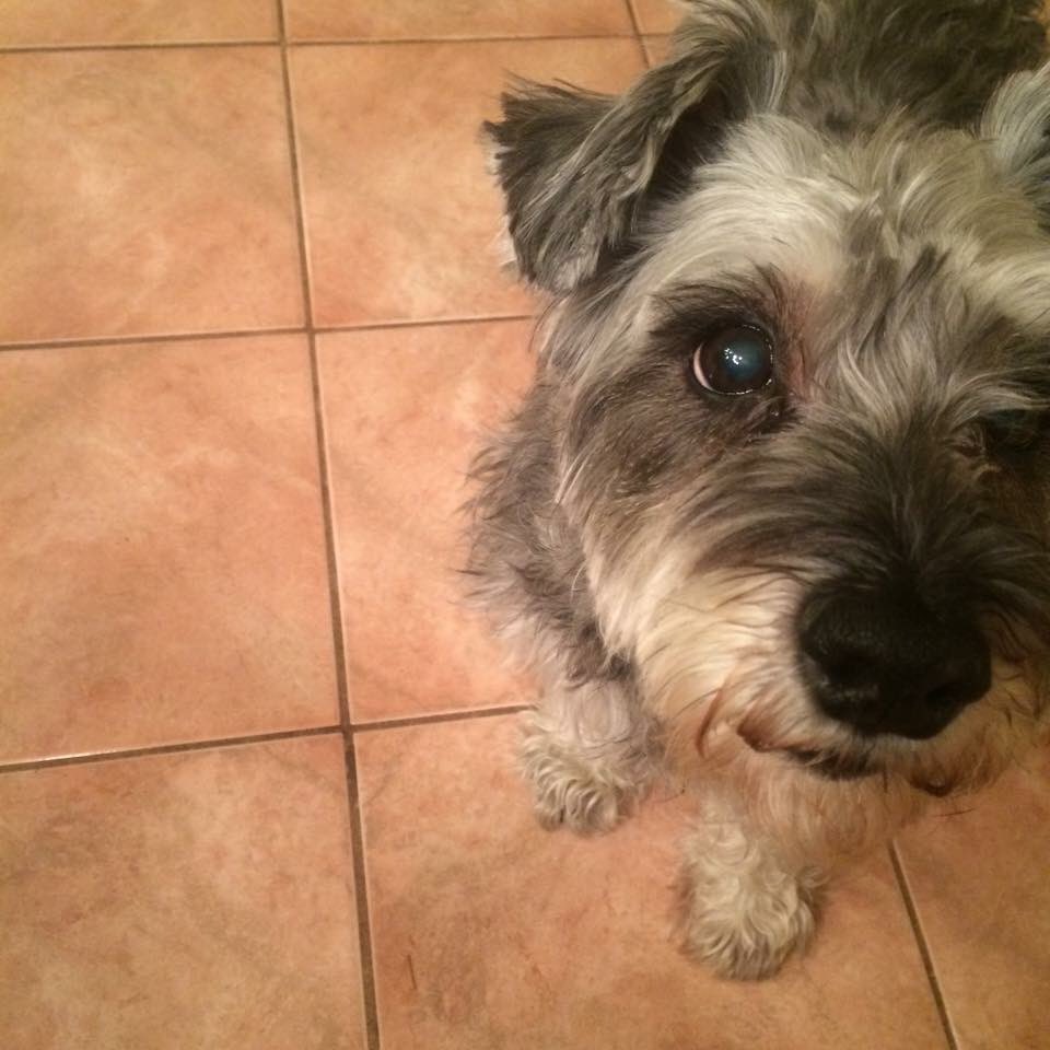 Bekah 🦈 tweet media