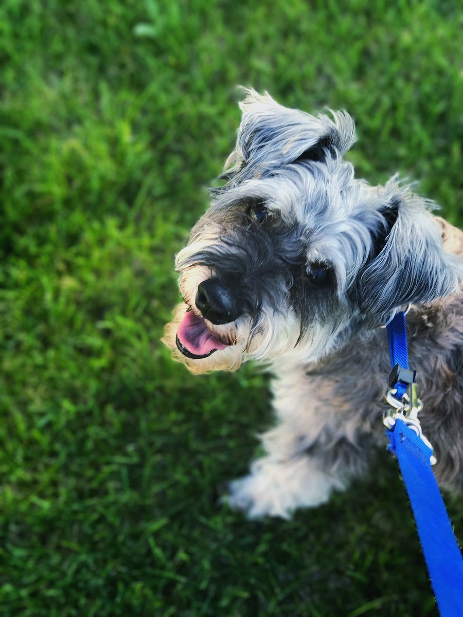 Bekah 🦈 tweet media