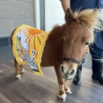 ツイートに含まれる画像