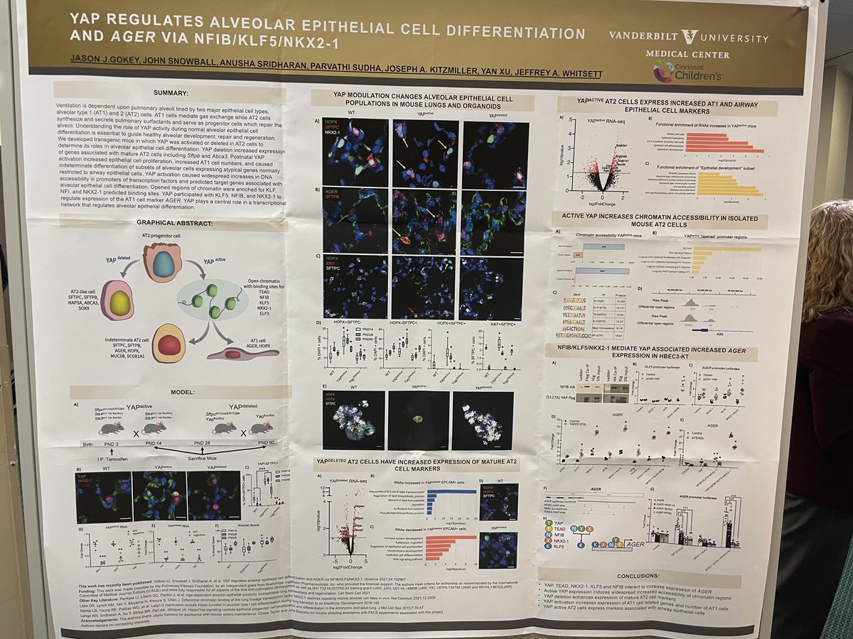IPFdoc's tweet photo. Why I love F2F ⁦⁦@GRClung2021⁩ meetings 1) informal discussions with #ScienceRockStars 2) presenting to real people 3) moments of tranquil reflection 4) outstanding posters https://t.co/g3YmEP5Q1f