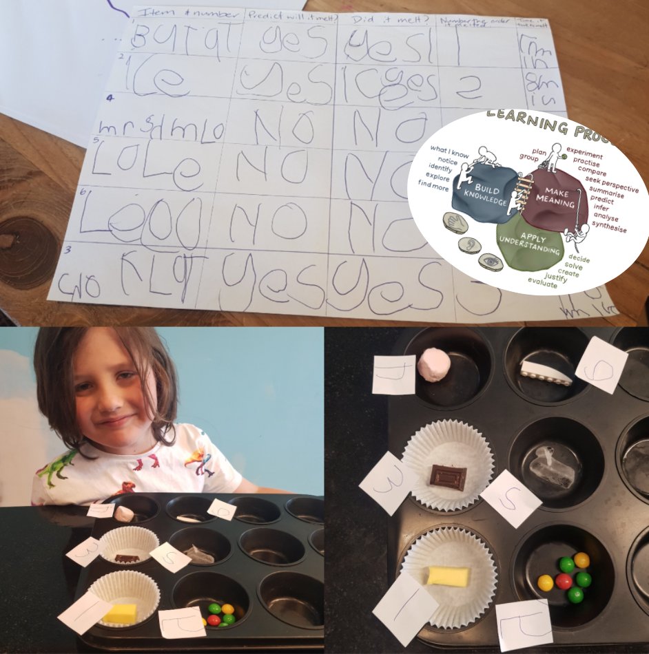 It's all integrated for our Juniors this morning <a href="/StonefieldsSch/">Stonefields School</a> Maths, Science, Reading and Writing #authentic #engaging #fun #justify #Predict