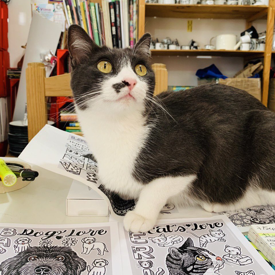 StudioTerricola's tweet photo. Gatoterapia en el trabajo 😽😄😘👩‍💻🐱🤟 
.
#creativework #gatoterapia #cat #catslover #tallercreativo #trabajo #terricolaestudio #ilovemycat #cdmx https://t.co/FiB9pjmBoL