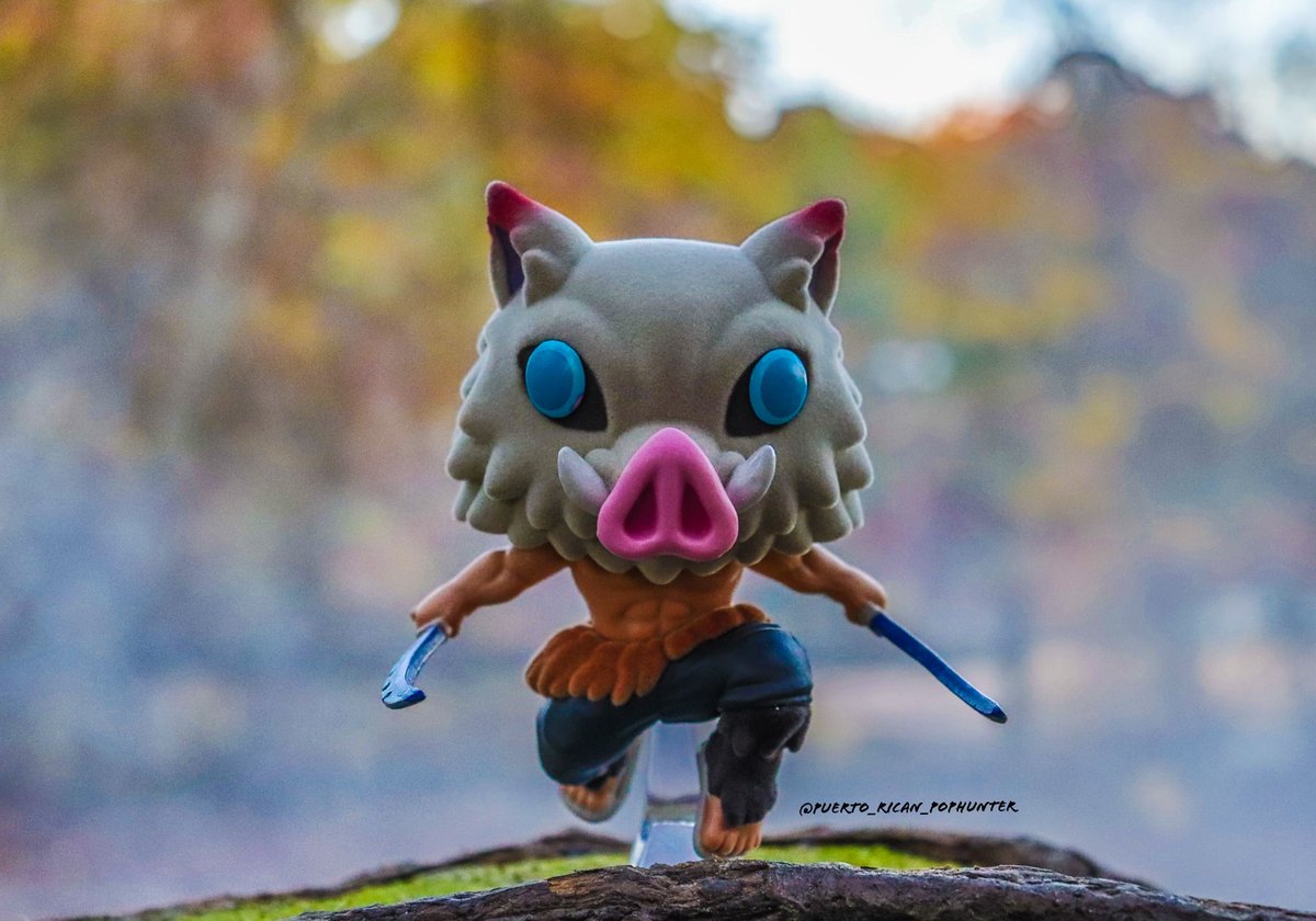 PPophunter's tweet photo. Better Watch Out! Cause Ready Or Not, Here I Come!!!! ⚔️ #wickedpopwednesday #inosukehashibira #demonslayer #chalicecollectiblesexclusive #anime #myfunkostory #funaticofthemonth @OriginalFunko https://t.co/8gZLHUNhrI