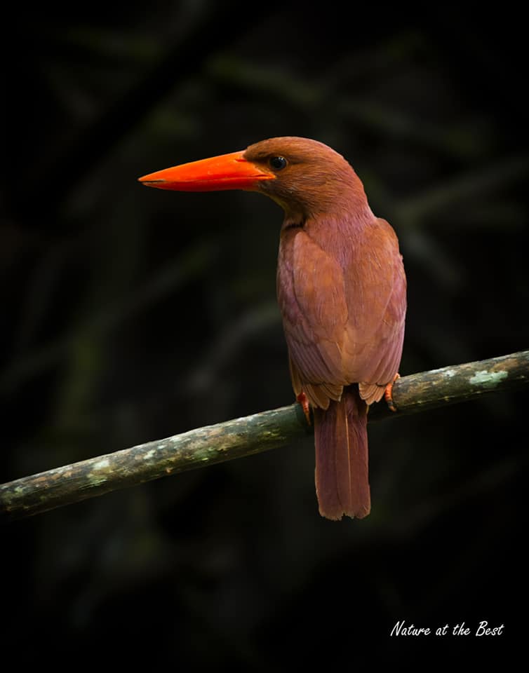 Faca Kismet 💕💕💕💕💕💕 (@franklinaagyem3) on Twitter photo 