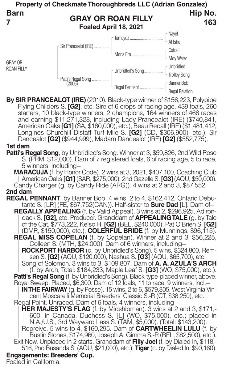 RiderDavey's tweet image. Thrilled to buy this stunning half sister to recent G1 winner Maracuja from @CheckmateRacing, by a stallion I really believe in and have had major success with in Sir Prancealot. #SearchingForValue exciting times @pat_maciariello 🙏🏻🙏🏻🏇💨🙏🏻🙏🏻
