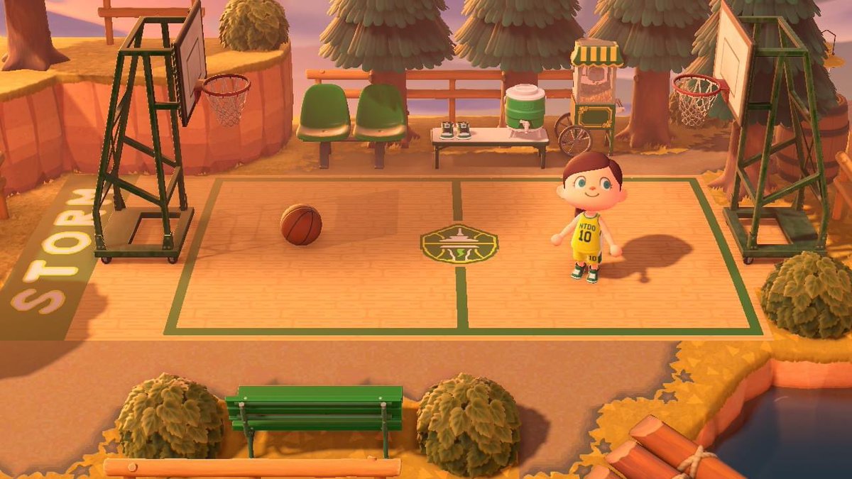 courtneygeiser's tweet photo. @seattlestorm @S10Bird  @WNBA @animalcrossing how’d I do?! Would you play on my court?? https://t.co/iIS20KJSB4