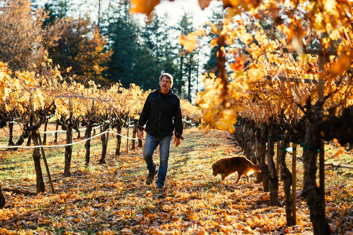 This year harvest ended almost as quickly as it started. But after a string of challenging years, the return to a steady pace with Mother Nature once again on our side was refreshing. Walking into fall with a full cellar and excitement for what the 2021 harvest will become. 🍂