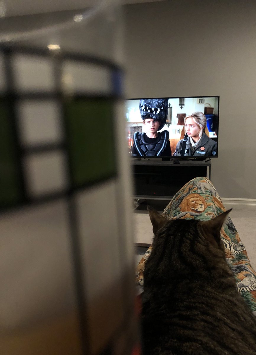 Celebrating surviving study section with a cocktail, warm cat, and my new favorite show, The Goldbergs!